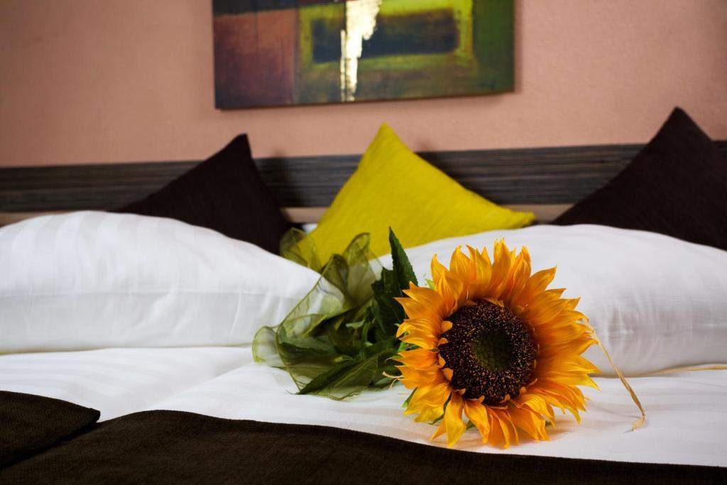 Hotel Relax Rajecke Teplice Ruang foto